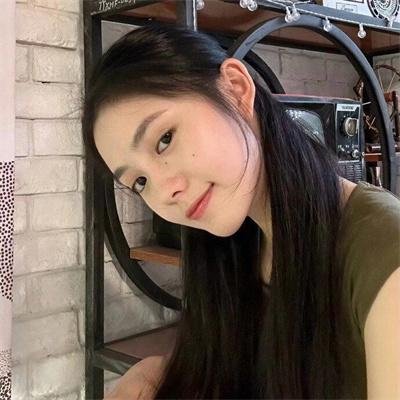 29片棕榈叶